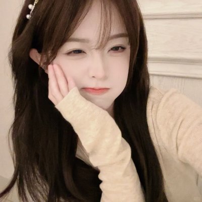 小象守护者
