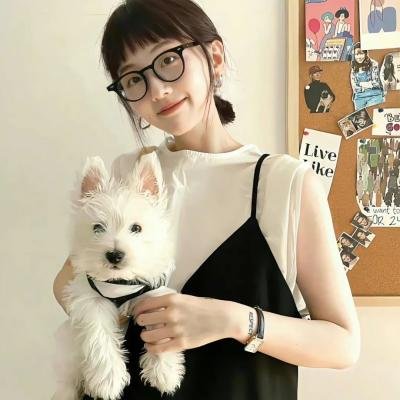 档案风暴